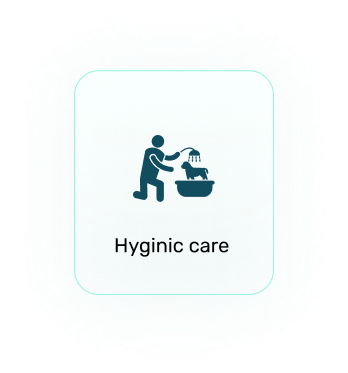 hyginic